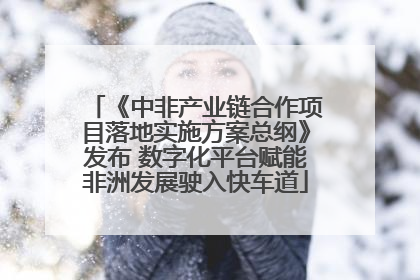 《中非产业链合作项目落地实施方案总纲》发布 数字化平台赋能非洲发展驶入快车道