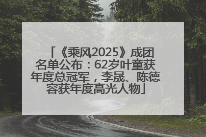 《乘风2025》成团名单公布：62岁叶童获年度总冠军，李晟、陈德容获年度高光人物