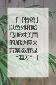 「特稿」以色列和哈马斯对美国的加沙停火方案态度显“温差”