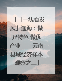 「一线看发展」通海：做足特色 做优产业——云南县域经济样本观察之二