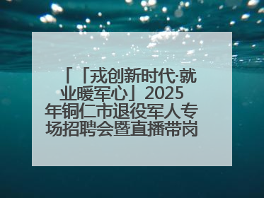 「戎创新时代·就业暖军心」2025年铜仁市退役军人专场招聘会暨直播带岗活动顺利举行