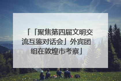 「聚焦第四届文明交流互鉴对话会」外宾团组在敦煌市考察