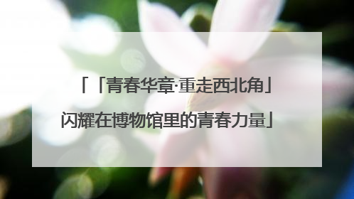 「青春华章·重走西北角」闪耀在博物馆里的青春力量
