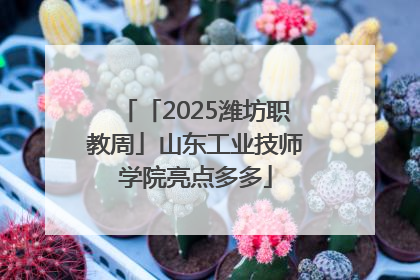 「2025潍坊职教周」山东工业技师学院亮点多多