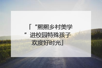 “熙熙乡村美学”进校园特殊孩子欢度好时光