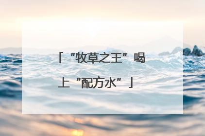 “牧草之王”喝上“配方水”