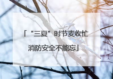 “三夏”时节麦收忙 消防安全不能忘