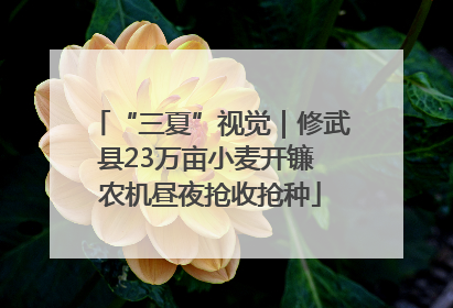 “三夏”视觉｜修武县23万亩小麦开镰 农机昼夜抢收抢种