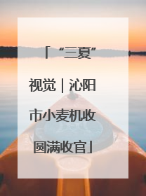 “三夏”视觉｜沁阳市小麦机收圆满收官