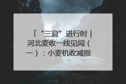 “三夏”进行时｜河北麦收一线见闻（一）：小麦机收减损“竞技” 农机高手麦田“过招”