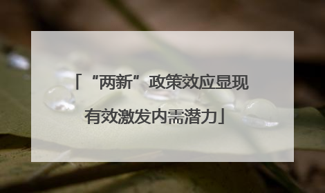 “两新”政策效应显现 有效激发内需潜力