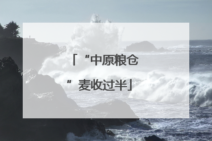 “中原粮仓”麦收过半