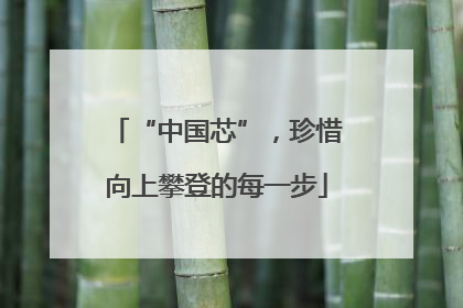 “中国芯”，珍惜向上攀登的每一步