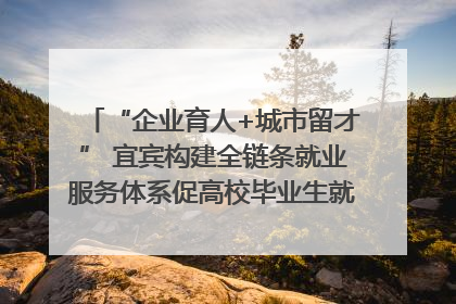 “企业育人+城市留才” 宜宾构建全链条就业服务体系促高校毕业生就业｜您牵挂的四川