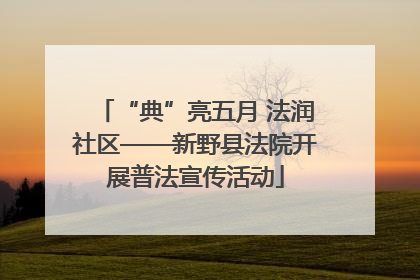 “典”亮五月 法润社区——新野县法院开展普法宣传活动