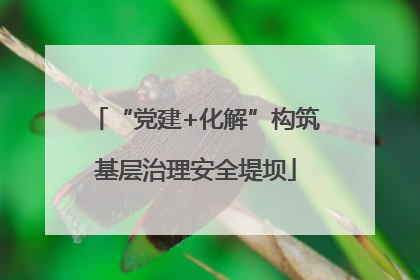 “党建+化解”构筑基层治理安全堤坝