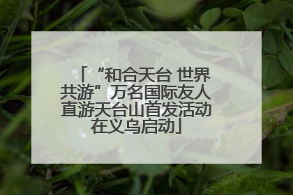 “和合天台 世界共游”万名国际友人直游天台山首发活动在义乌启动
