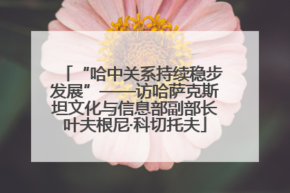 “哈中关系持续稳步发展”——访哈萨克斯坦文化与信息部副部长叶夫根尼·科切托夫