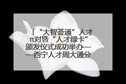 “大智荟通”人才π对暨“人才绿卡”颁发仪式成功举办——西宁人才周大通分会场亮点纷呈