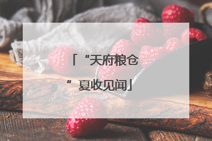 “天府粮仓”夏收见闻
