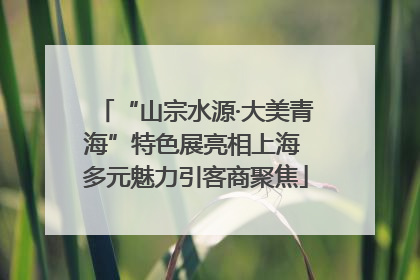 “山宗水源·大美青海”特色展亮相上海 多元魅力引客商聚焦