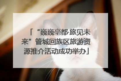 “巍巍亳都·旅见未来”管城回族区旅游资源推介活动成功举办
