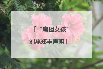 “扁担女孩”刘燕郑重声明