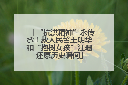 “抗洪精神”永传承！救人民警王明华和“抱树女孩”江珊还原历史瞬间