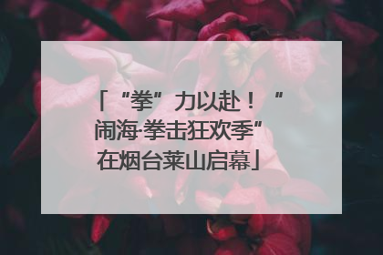 “拳”力以赴！“闹海·拳击狂欢季”在烟台莱山启幕