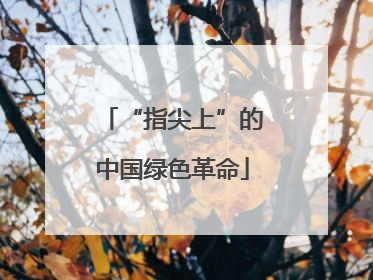 “指尖上”的中国绿色革命