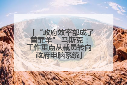 “政府效率部成了替罪羊” 马斯克：工作重点从裁员转向政府电脑系统