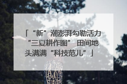 “新”潮澎湃勾勒活力“三夏耕作图” 田间地头满满“科技范儿”