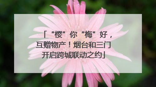 “樱”你“梅”好，互赠物产！烟台和三门开启跨城联动之约