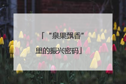 “泉果飘香”里的振兴密码
