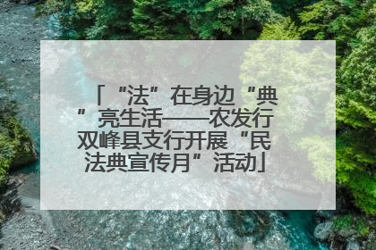 “法”在身边“典”亮生活——农发行双峰县支行开展“民法典宣传月”活动