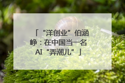 “洋创业”伯涵峥：在中国当一名AI“弄潮儿”