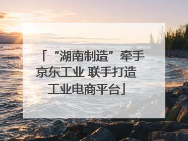 “湖南制造”牵手京东工业 联手打造工业电商平台