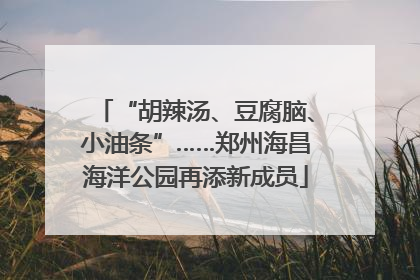 “胡辣汤、豆腐脑、小油条”……郑州海昌海洋公园再添新成员