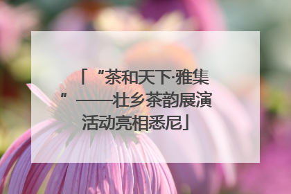“茶和天下·雅集”——壮乡茶韵展演活动亮相悉尼