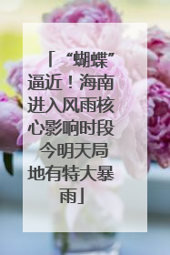 “蝴蝶”逼近！海南进入风雨核心影响时段 今明天局地有特大暴雨