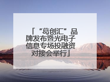 “葛创汇”品牌发布暨光电子信息专场投融资对接会举行
