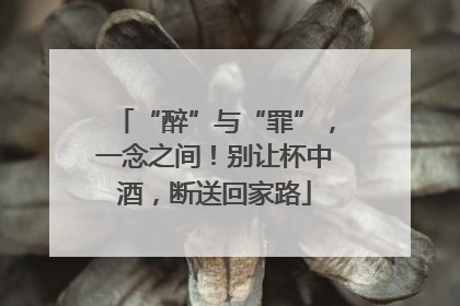 “醉”与“罪”，一念之间！别让杯中酒，断送回家路