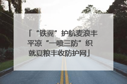 “铁翼”护航麦浪丰 平凉“一喷三防”织就夏粮丰收防护网