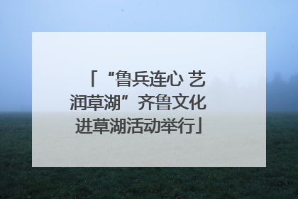 “鲁兵连心 艺润草湖”齐鲁文化进草湖活动举行