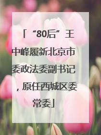 “80后”王中峰履新北京市委政法委副书记，原任西城区委常委