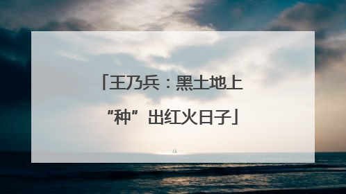 王乃兵：黑土地上“种”出红火日子