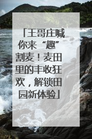 王哥庄喊你来“趣”割麦！麦田里的丰收狂欢，解锁田园新体验
