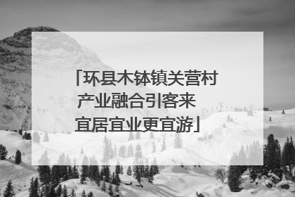 环县木钵镇关营村 产业融合引客来 宜居宜业更宜游