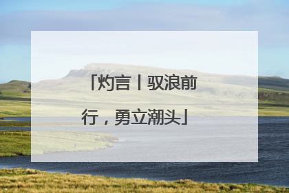 灼言丨驭浪前行，勇立潮头