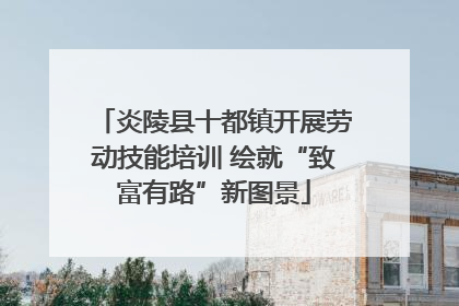 炎陵县十都镇开展劳动技能培训 绘就“致富有路”新图景